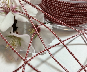 march polyester braided 1mm cover1